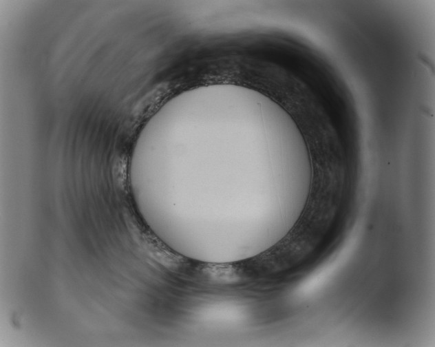 X0000103440767200809261754