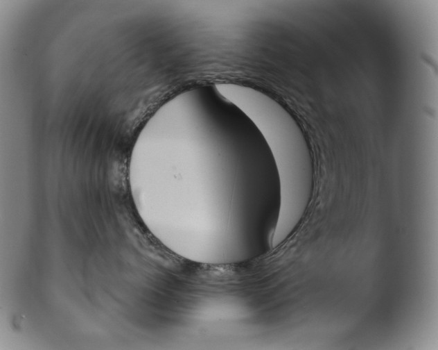 X0000103440768200809261754
