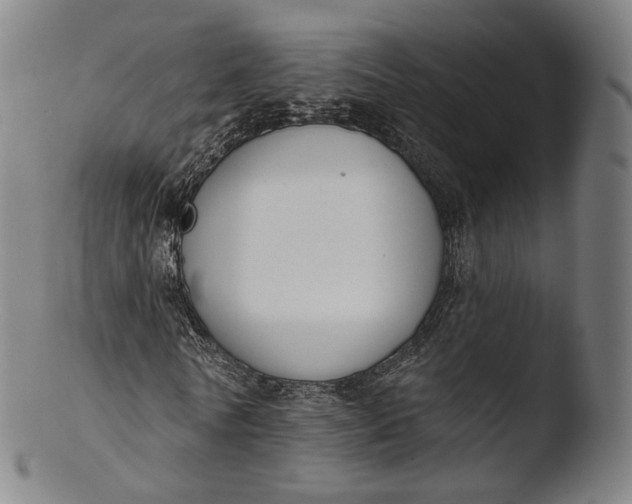 X0000103440770200809261753