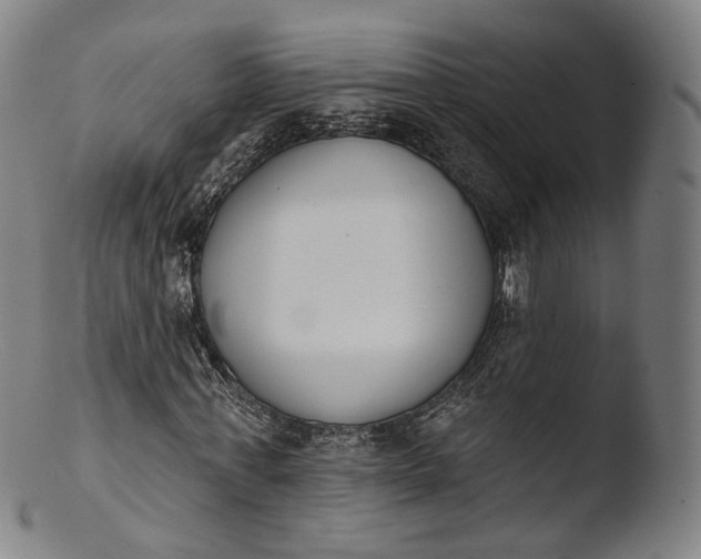 X0000103440771200809261753