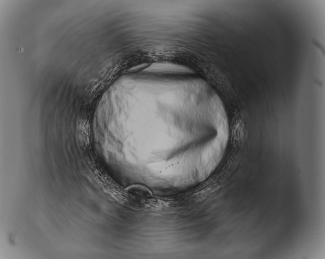 X0000103440772200809261753