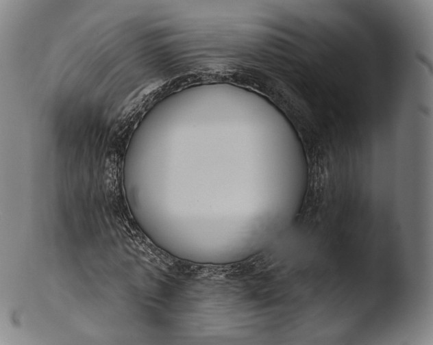 X0000103440773200809261753