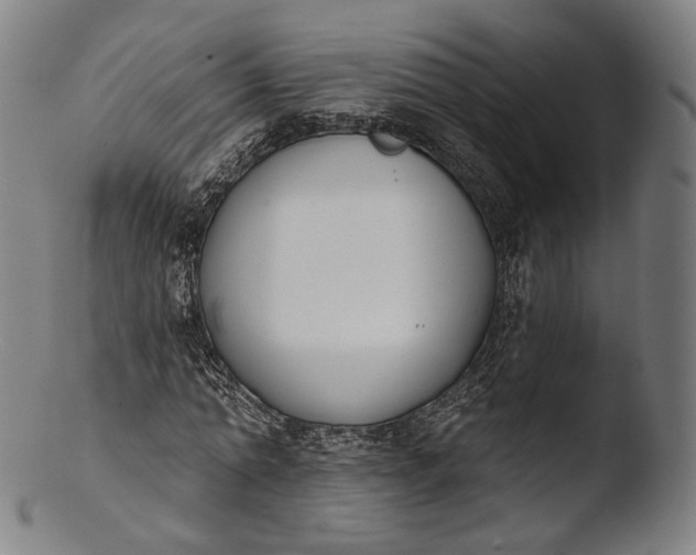 X0000103440774200809261753