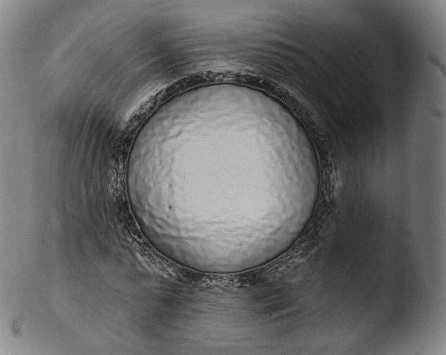 X0000103440775200809261753