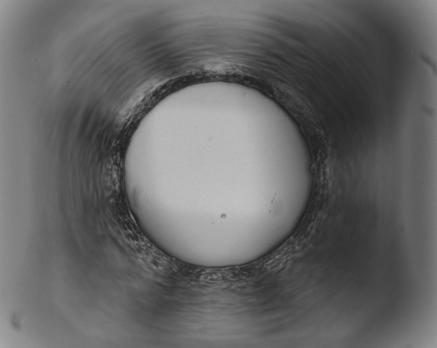 X0000103440776200809261753
