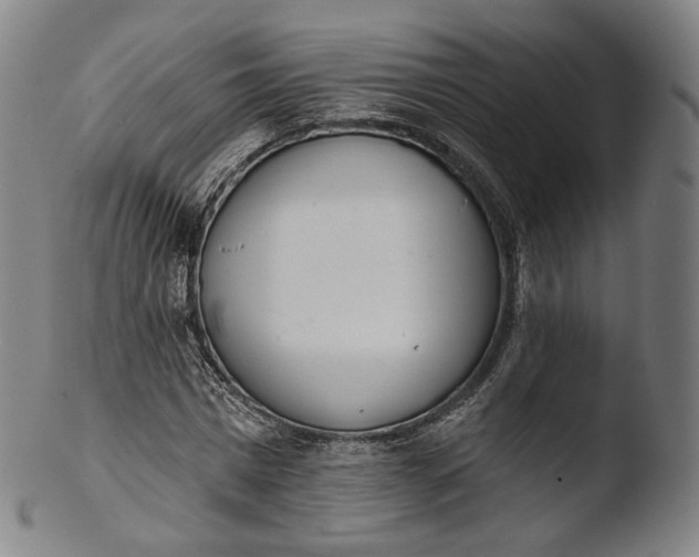 X0000103440777200809261753
