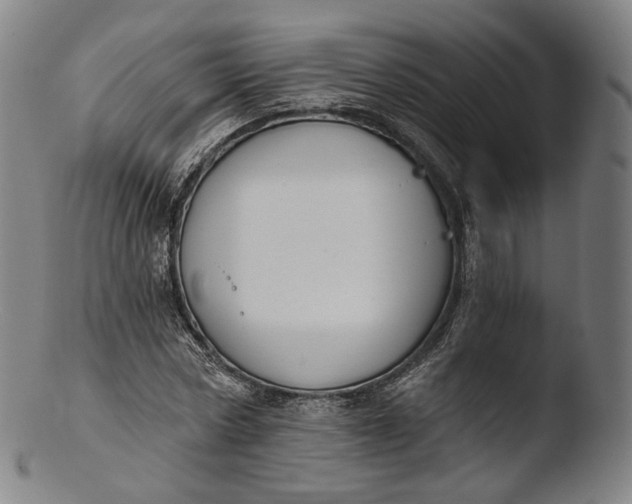 X0000103440778200809261753