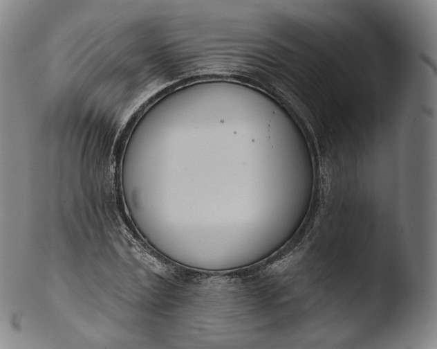 X0000103440779200809261753