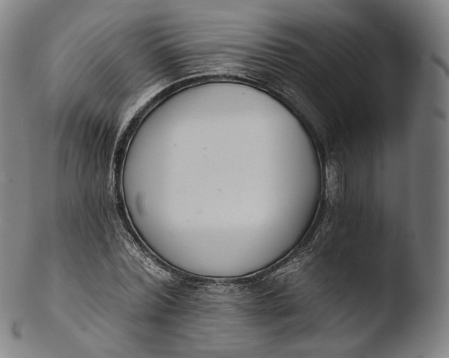 X0000103440780200809261753
