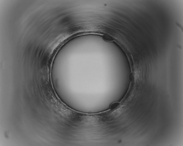 X0000103440781200809261753