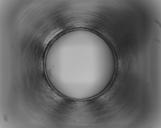 X0000103440782200809261753