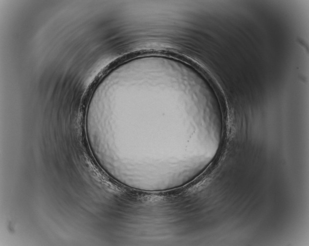 X0000103440783200809261753