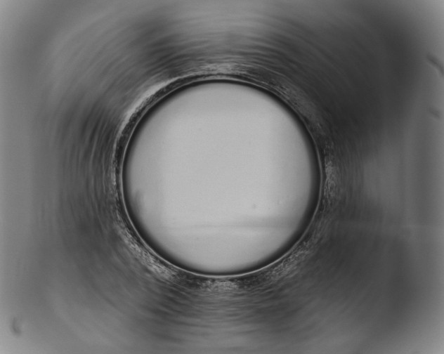 X0000103440784200809261753