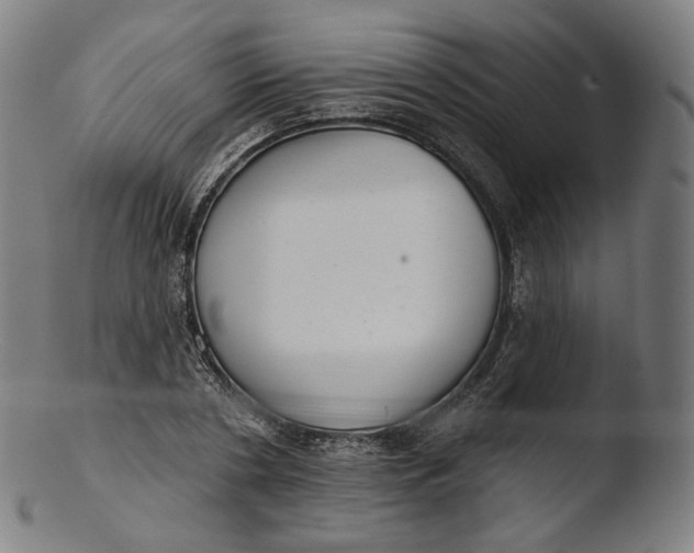 X0000103440786200809261753