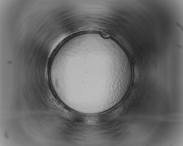 X0000103440788200809261753