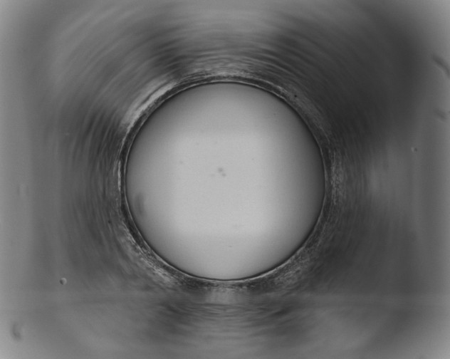 X0000103440790200809261753