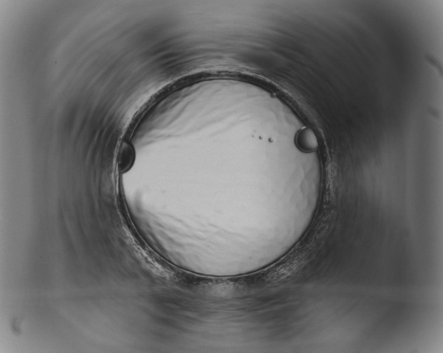 X0000103440791200809261753