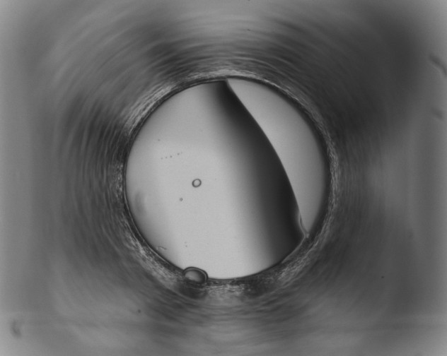 X0000103440793200809261753