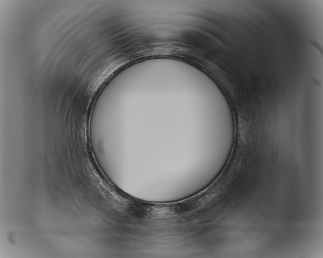 X0000103440794200809261753