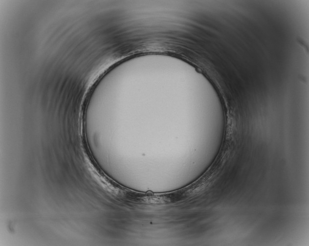 X0000103440795200809261753