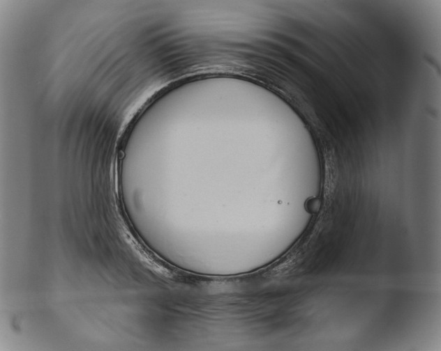 X0000103440796200809261752