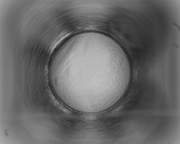 X0000103440798200809261752