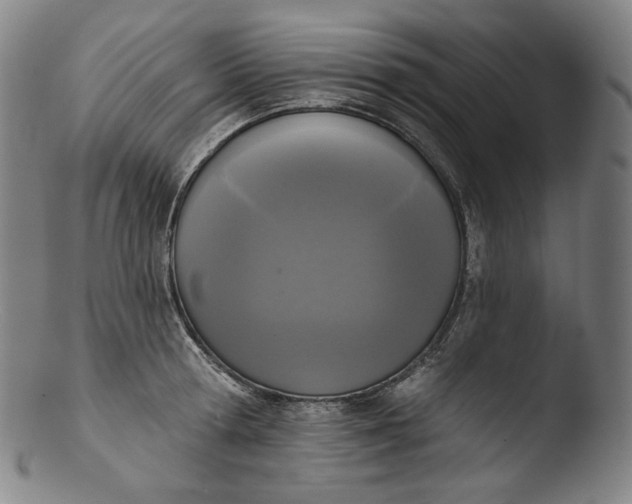 X0000103440802200809261752