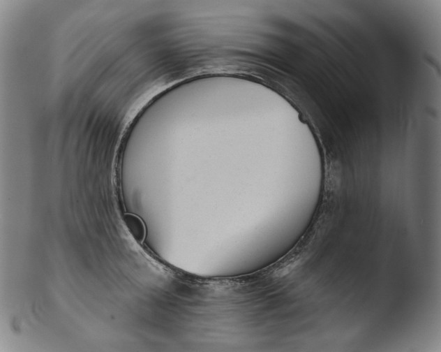 X0000103440803200809261752