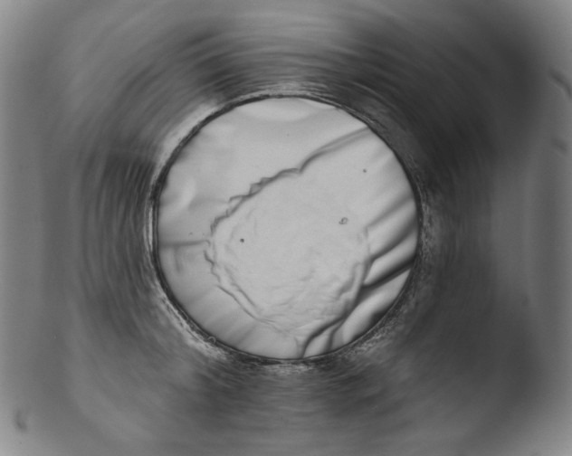 X0000103440804200809261752