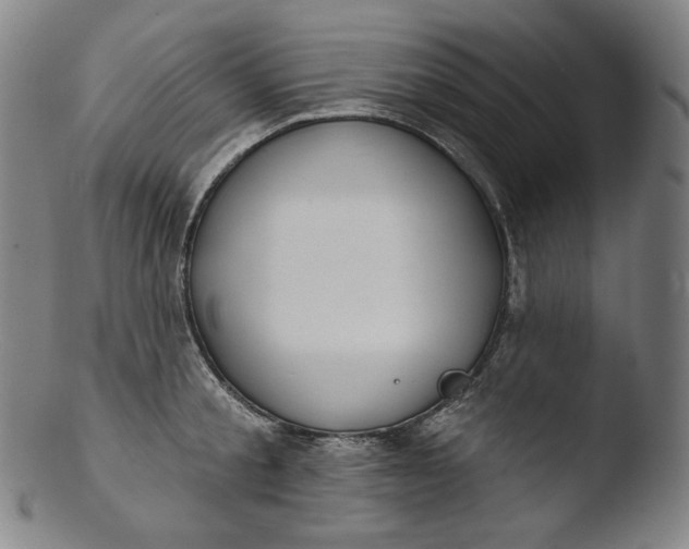 X0000103440805200809261752