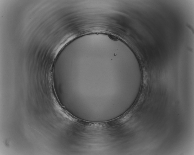 X0000103440806200809261752