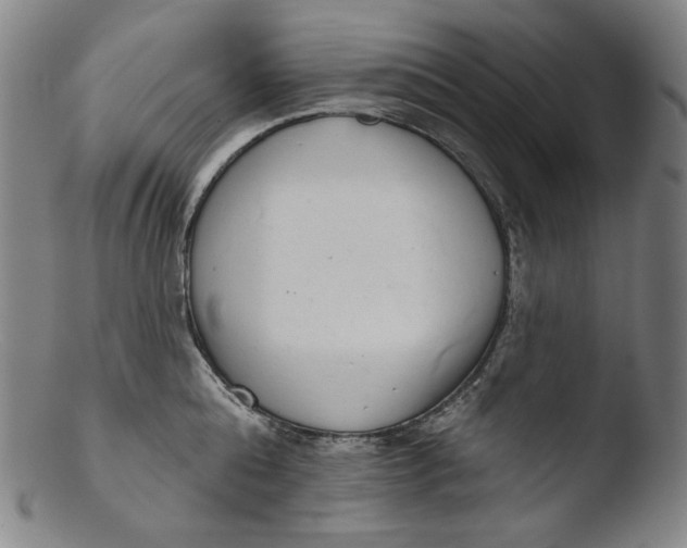 X0000103440808200809261752