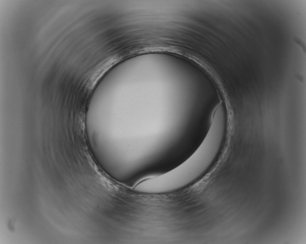 X0000103440809200809261752