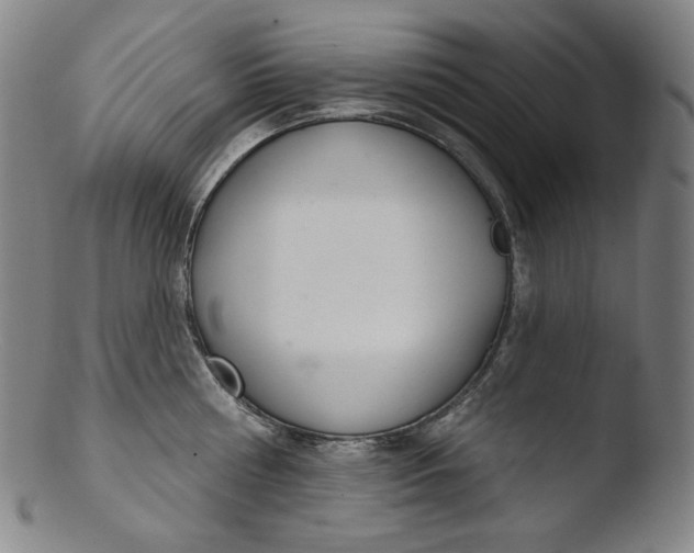 X0000103440810200809261752