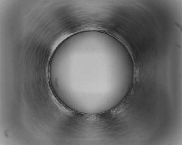 X0000103440811200809261752