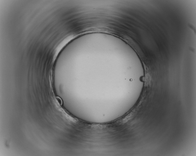 X0000103440812200809261752