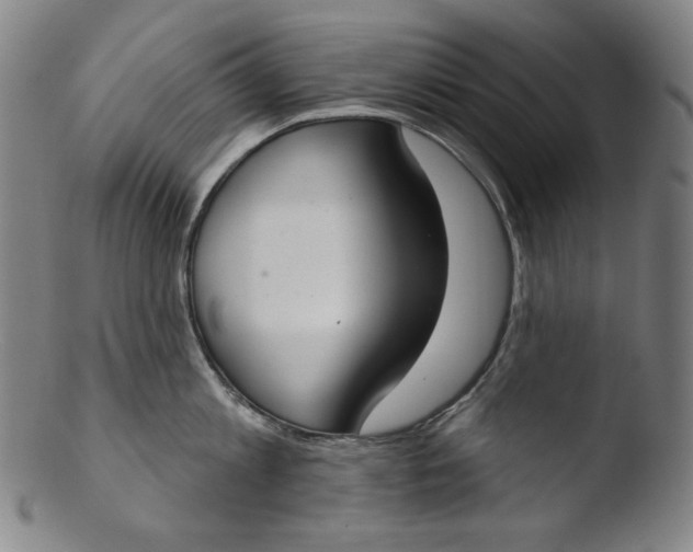 X0000103440813200809261752