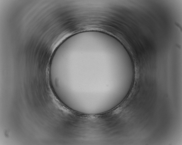 X0000103440814200809261752