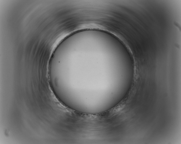 X0000103440815200809261752