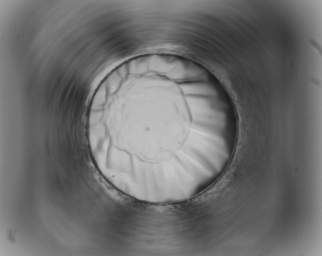 X0000103440816200809261752