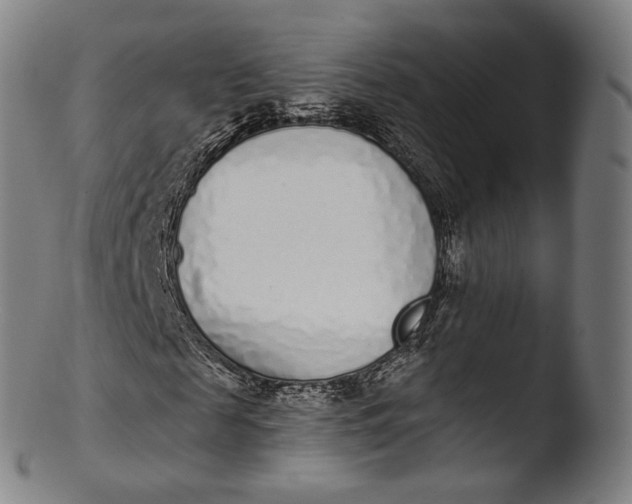 X0000103440817200809261752