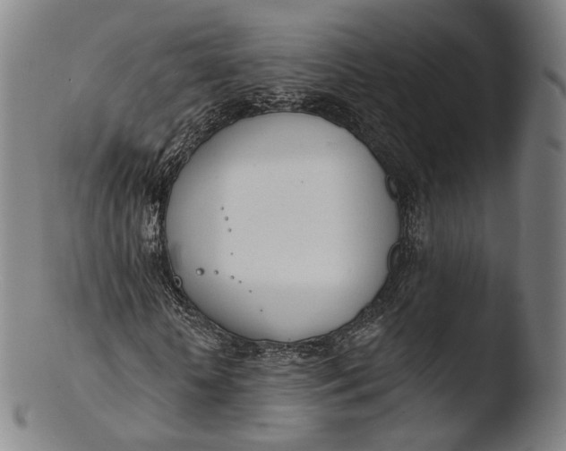 X0000103440818200809261752