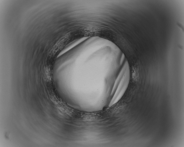 X0000103440819200809261752