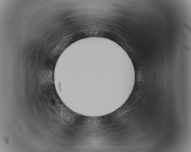 X0000103440820200809261752