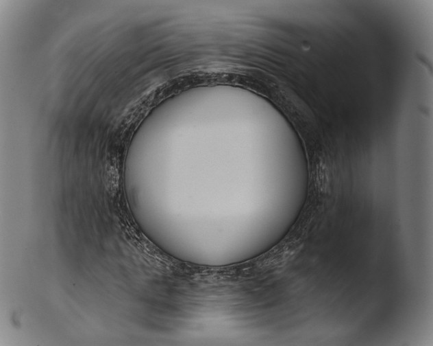 X0000103440821200809261752