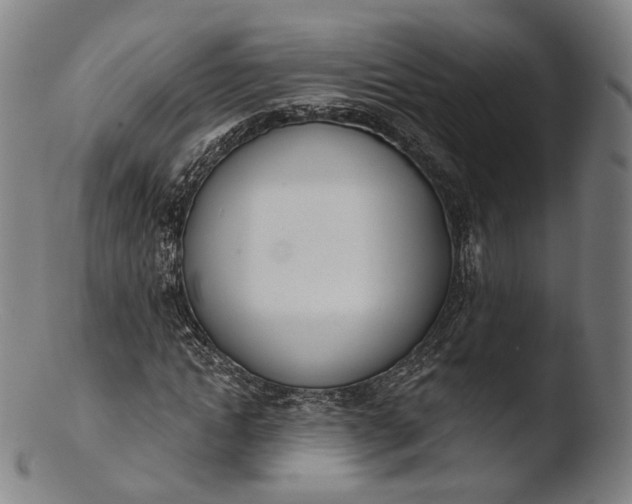 X0000103440822200809261752