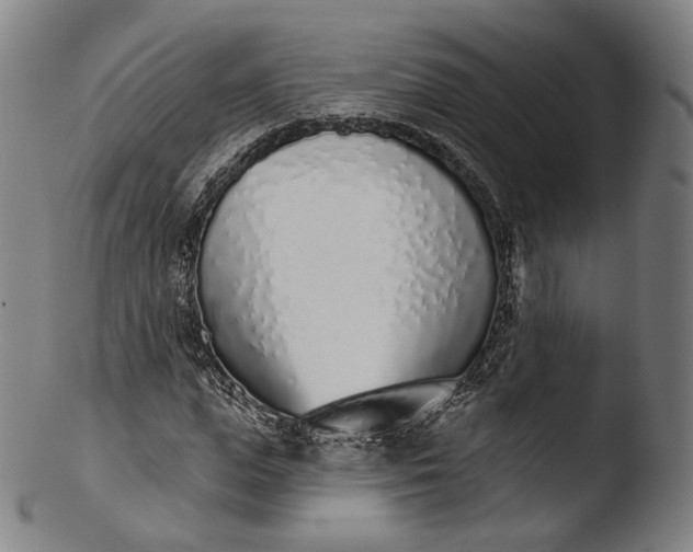 X0000103440823200809261752