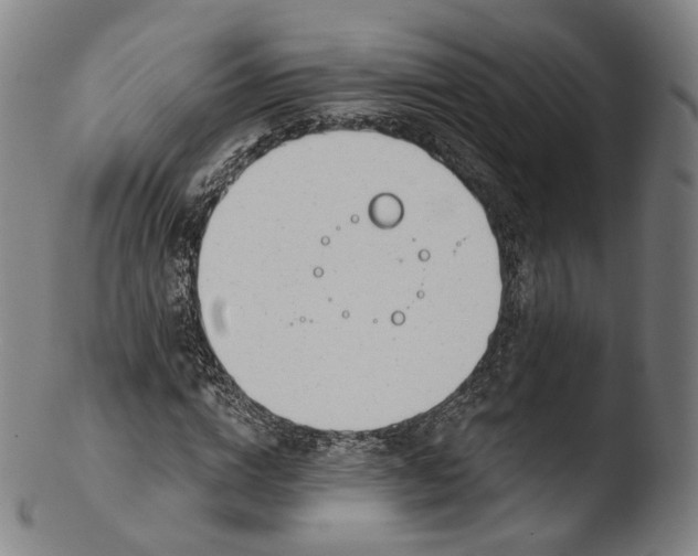 X0000103440824200809261752