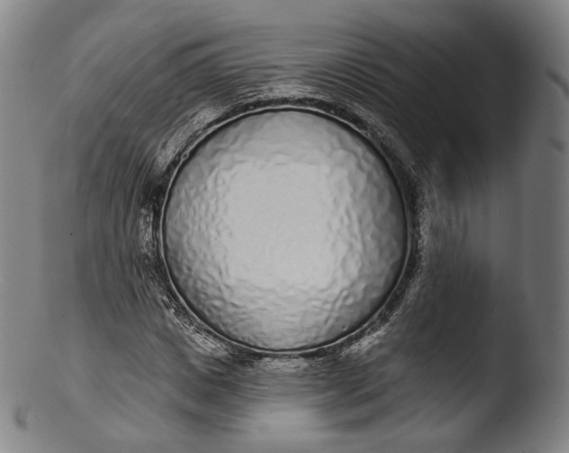 X0000103440825200809261752