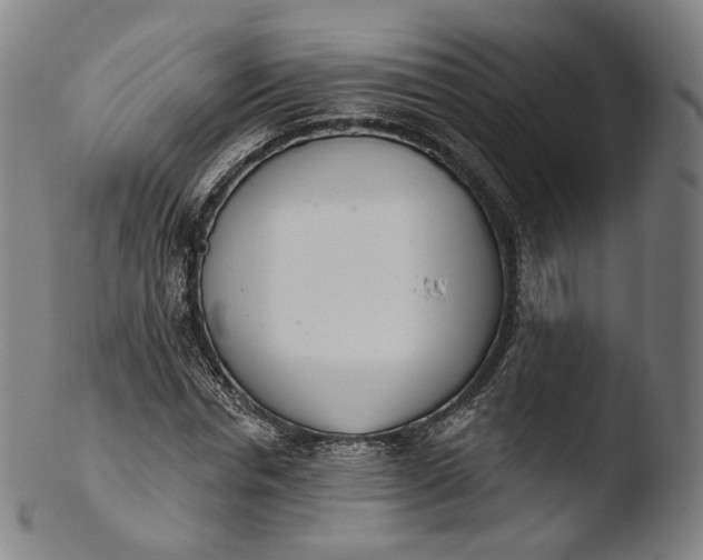 X0000103440826200809261752